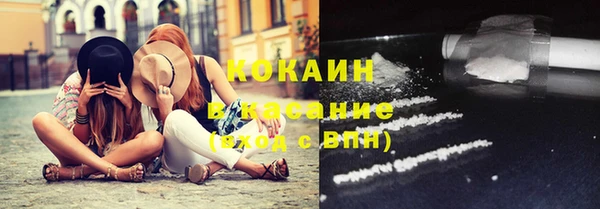 индика Белоозёрский
