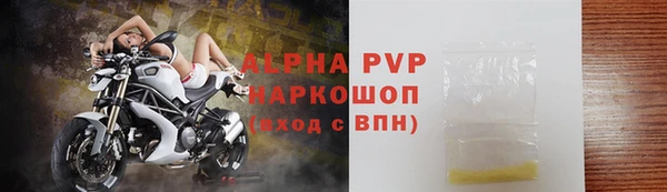 индика Белоозёрский