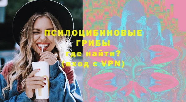 PSILOCYBIN Беломорск