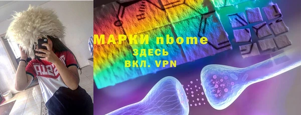 индика Белоозёрский