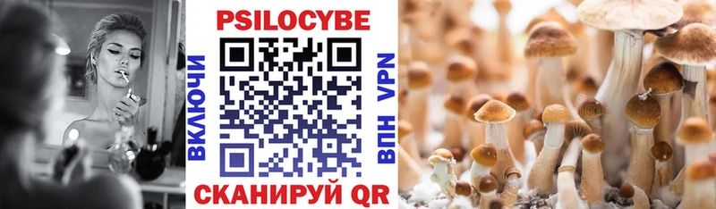 МЕГА как войти  Клинцы  Галлюциногенные грибы Magic Shrooms 